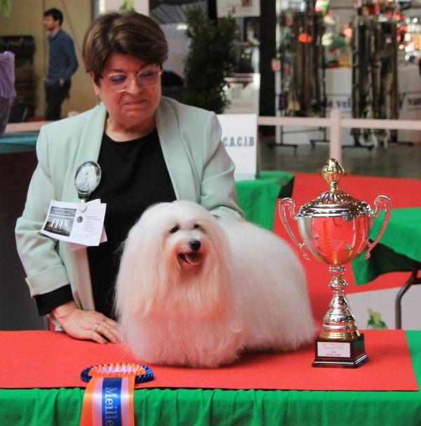 CH. UNA STORIA BELLA du Castel de la Roche aux Fées